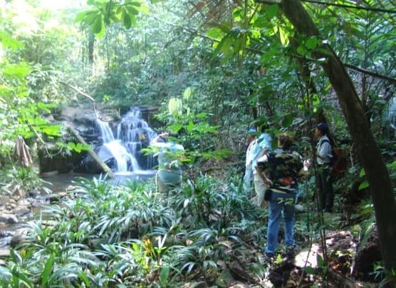 Primary Rainforest Estate | 330m Highway Frontage | Colón, Panama