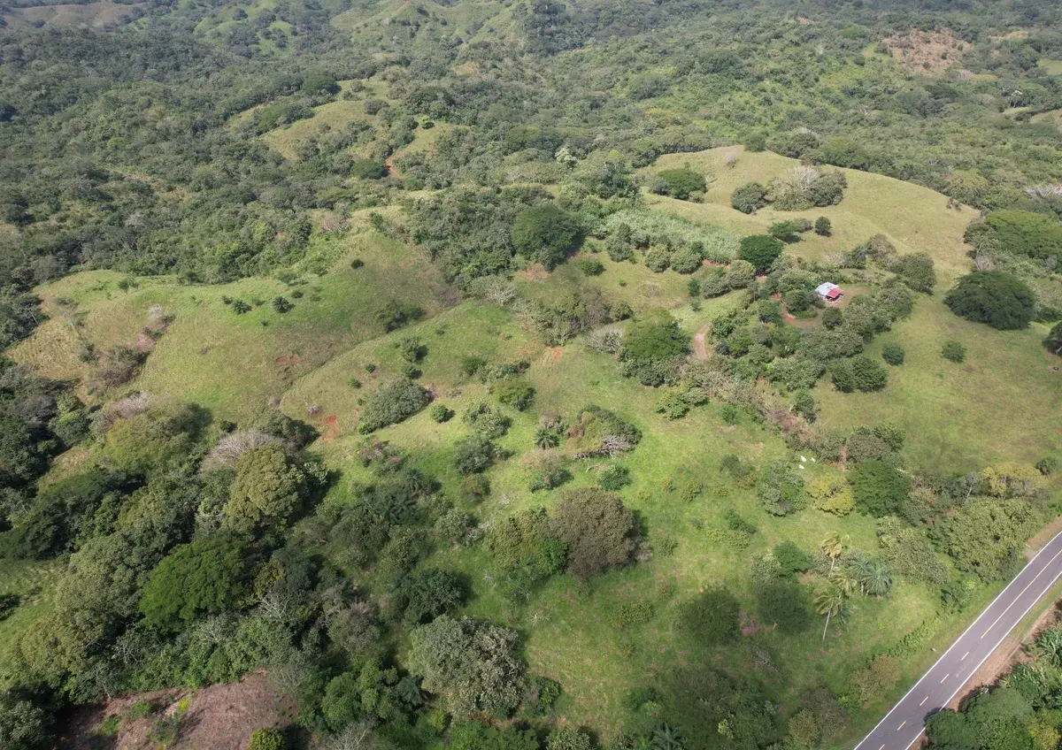 Terrain de 5 hectares avec vue océan à vendre près de Playa Venao