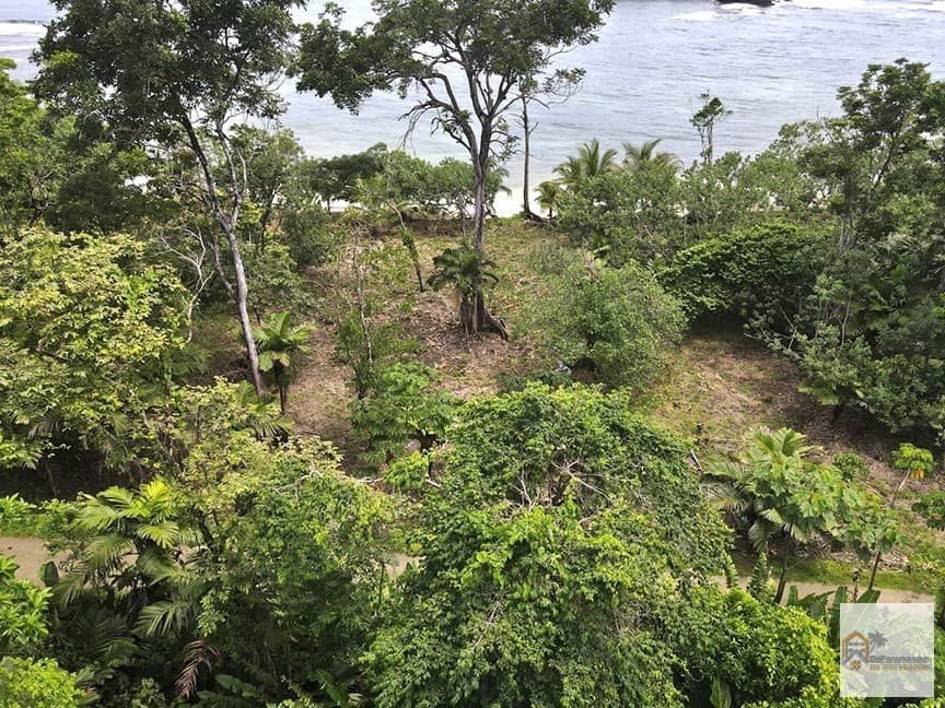 Pristine Beachfront Land Red Frog Beach Bocas del Toro $410K Investment