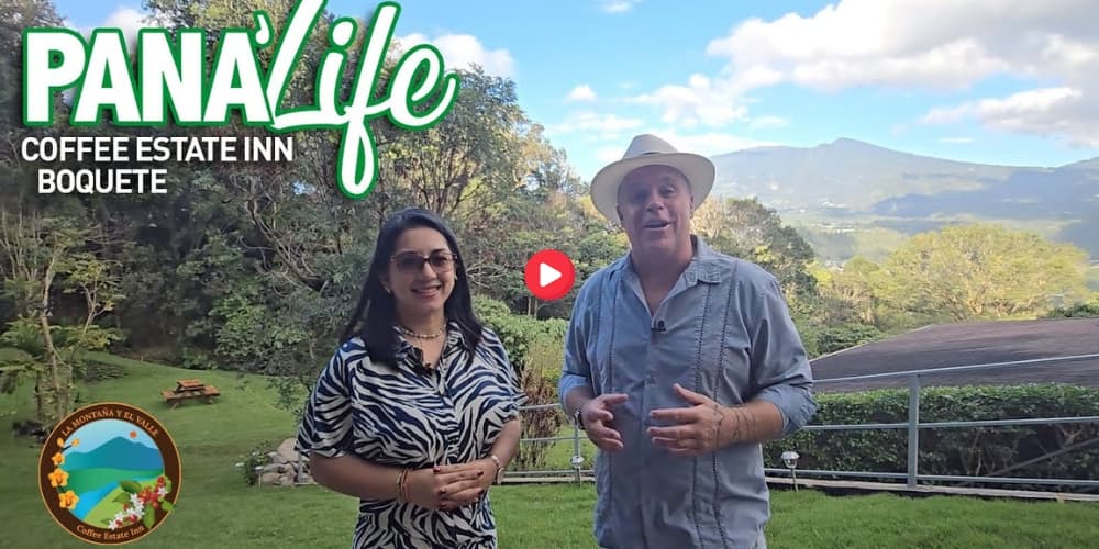 Coffee Estate Inn Boquete: Your Premier Highland Retreat in Panama's Coffee Capital