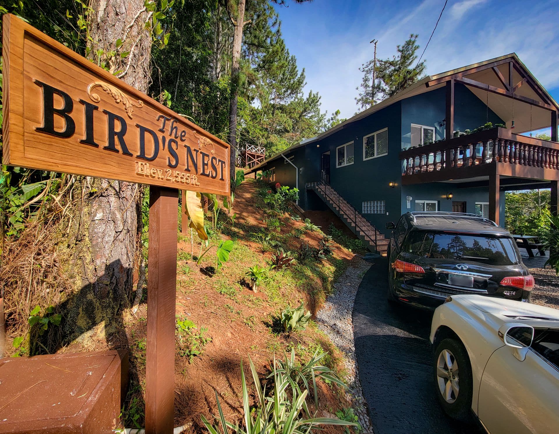 The Bird's Nest: Panama's Premier All-Inclusive Birdwatching Retreat in Cerro Azul