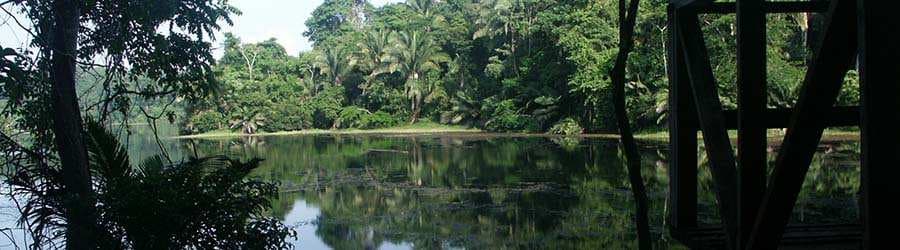 Metropolitan Natural Park: Panama City's 265-Hectare Urban Biodiversity Haven