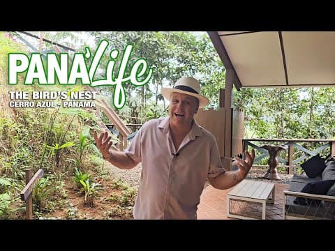 🐦🌿 Pana'Life - The Bird’s Nest, Cerro Azul! 🌿🐦