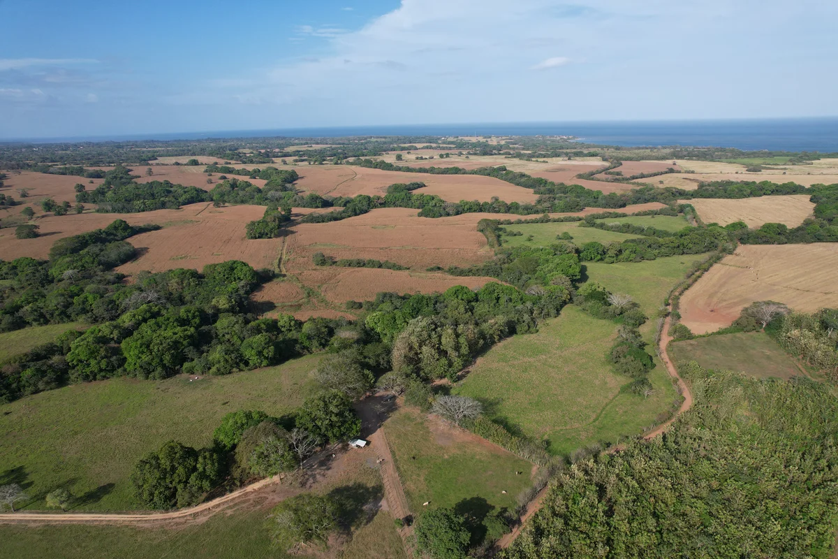 Lot for Sale in Pedasí