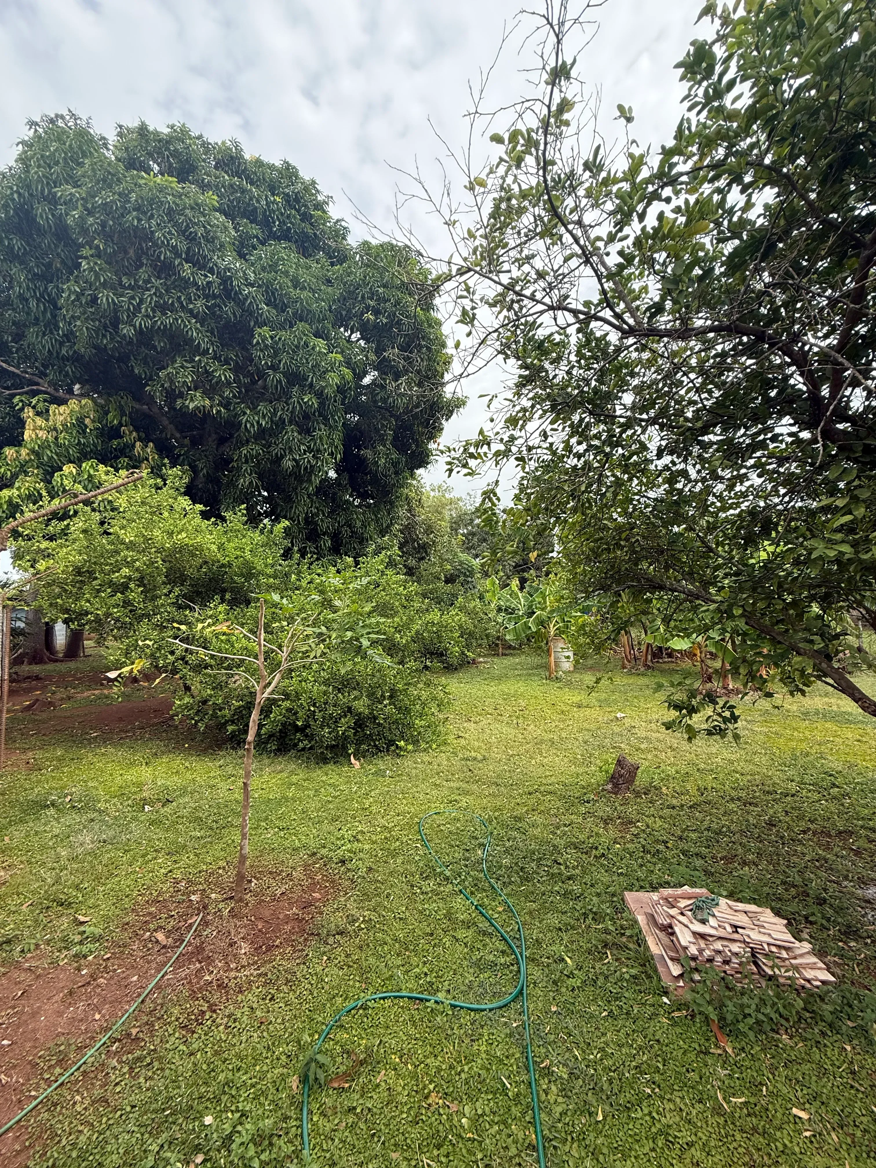Terreno Plano en Venta en Barriada Santa Cruz, La Villa de Los Santos
