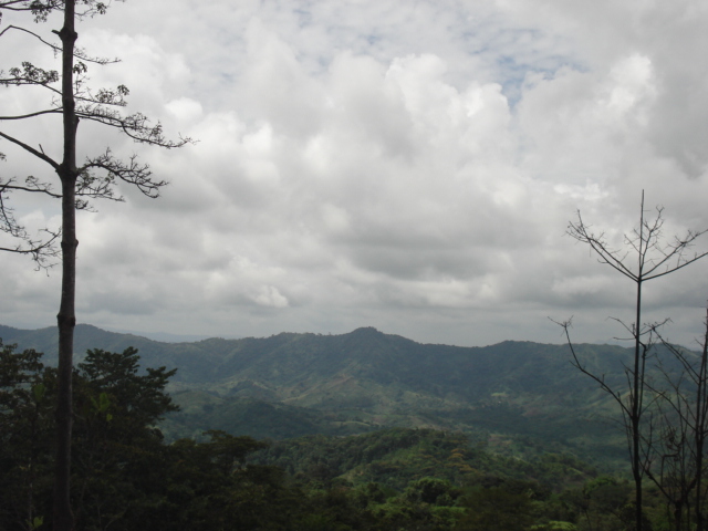 Sierra Llorona: 151-Hectare Atlantic Paradise in Historic Portobelo