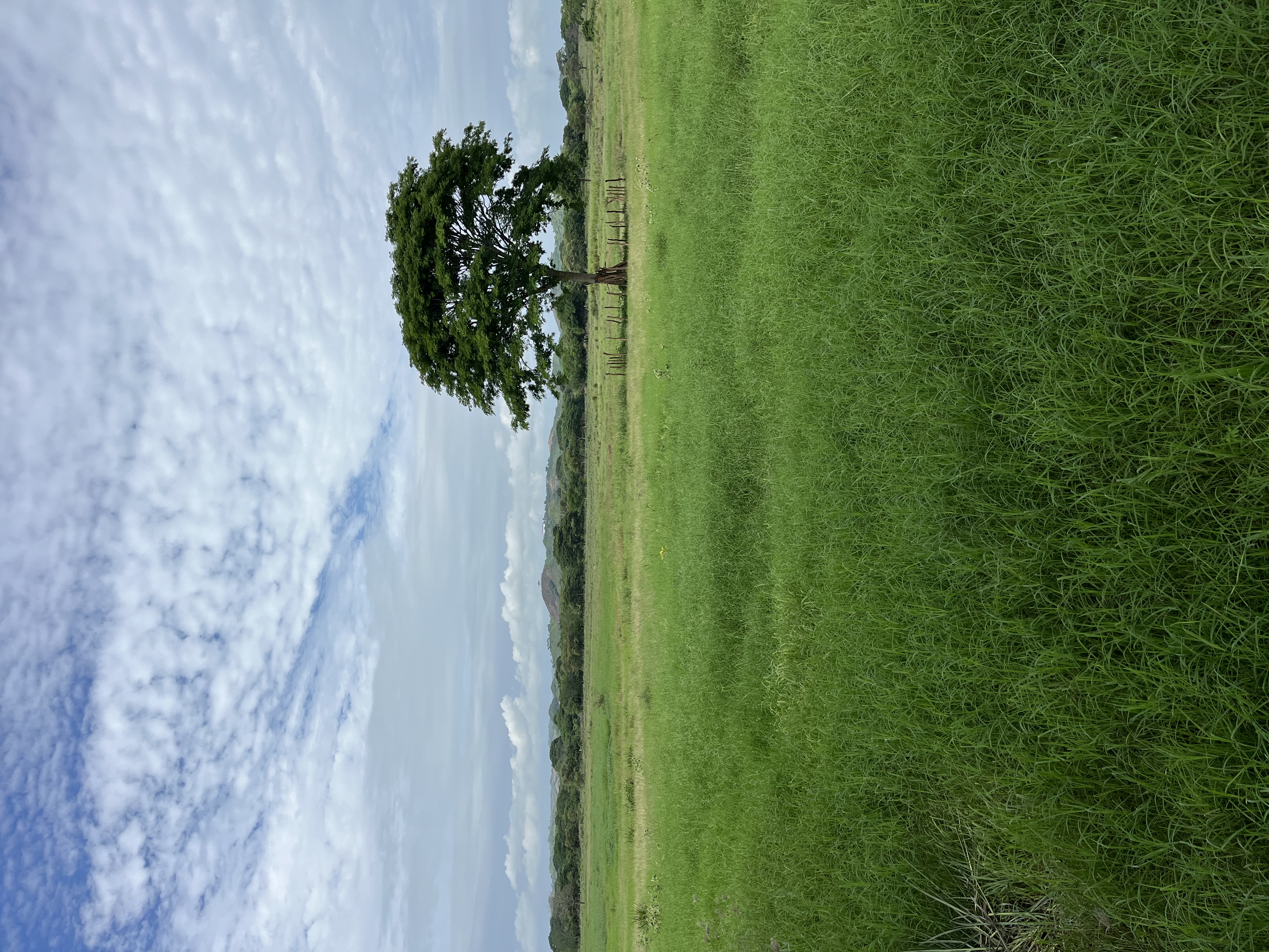 15.4-Hectare Titled Mountain View Property for Sale in Chitré