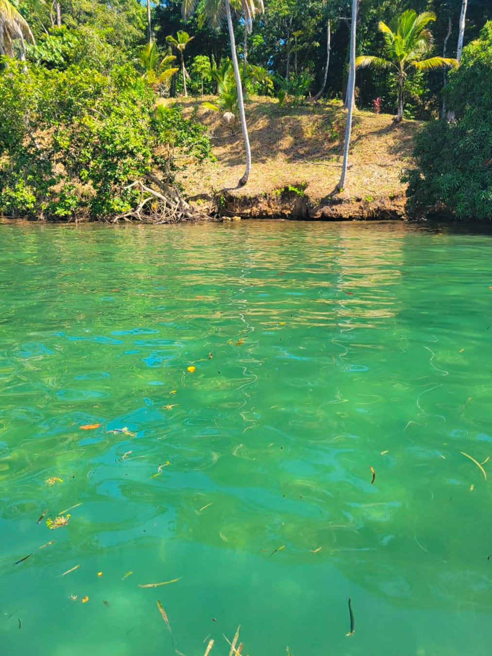 Caribbean Waterfront Estate Punta Laurel - 7.9 Acres + 120m Private Beach