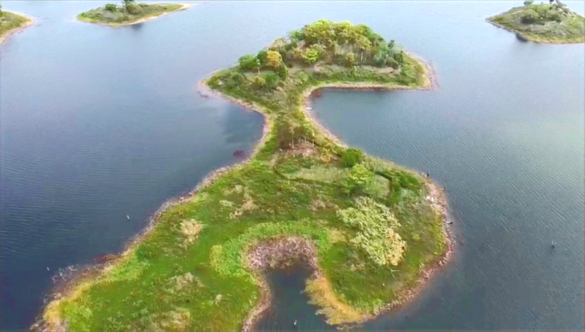 Private Island in Bayano Lake
